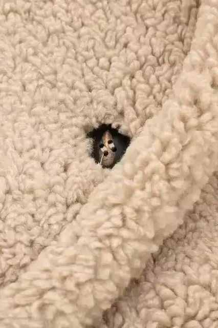 Detailansicht des BERNA – Luxuriöser Oversized Teddymantel mit flauschigem Kunstpelz und Knopf.